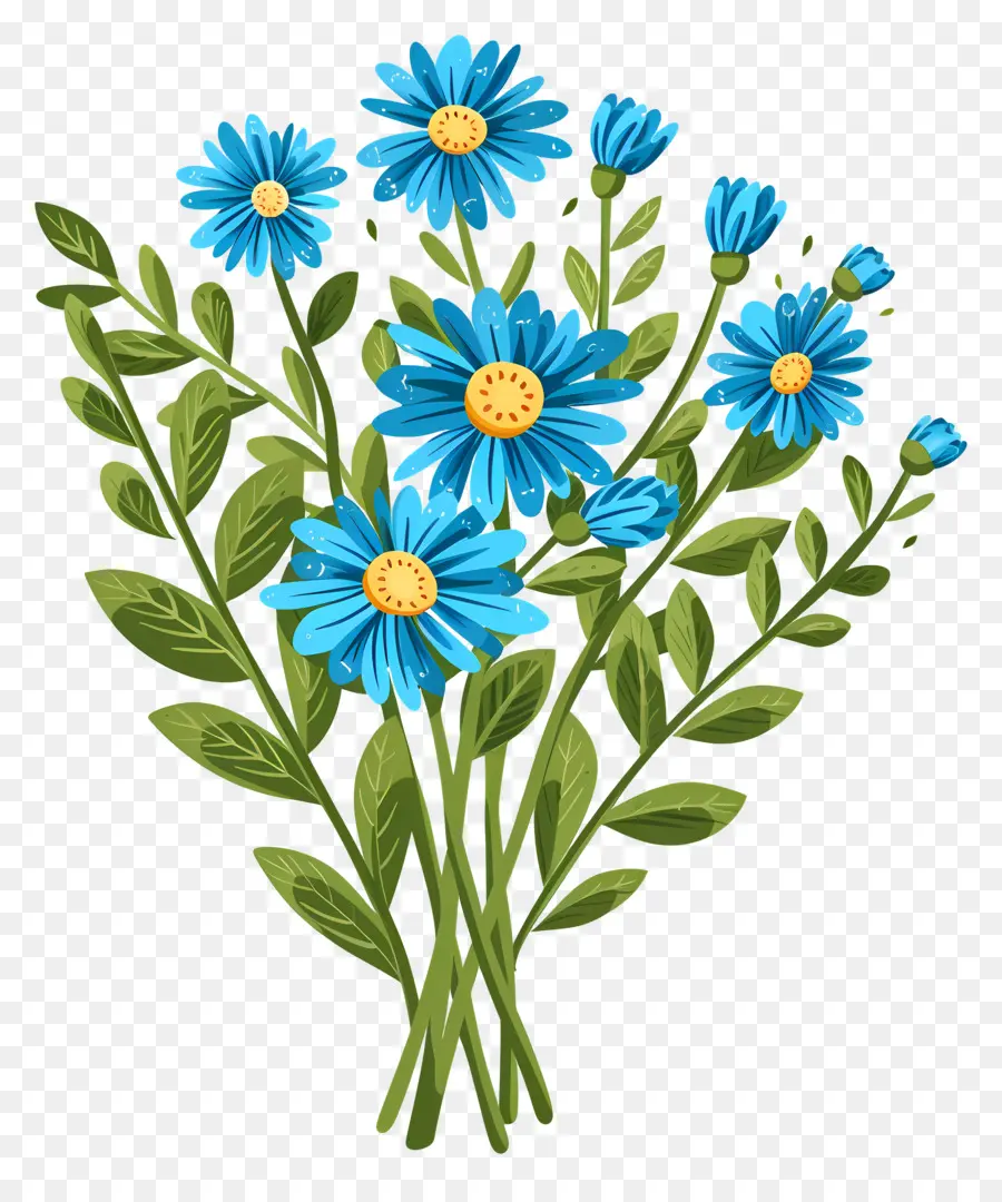 Fleurs De Marguerite，Marguerites Bleues PNG