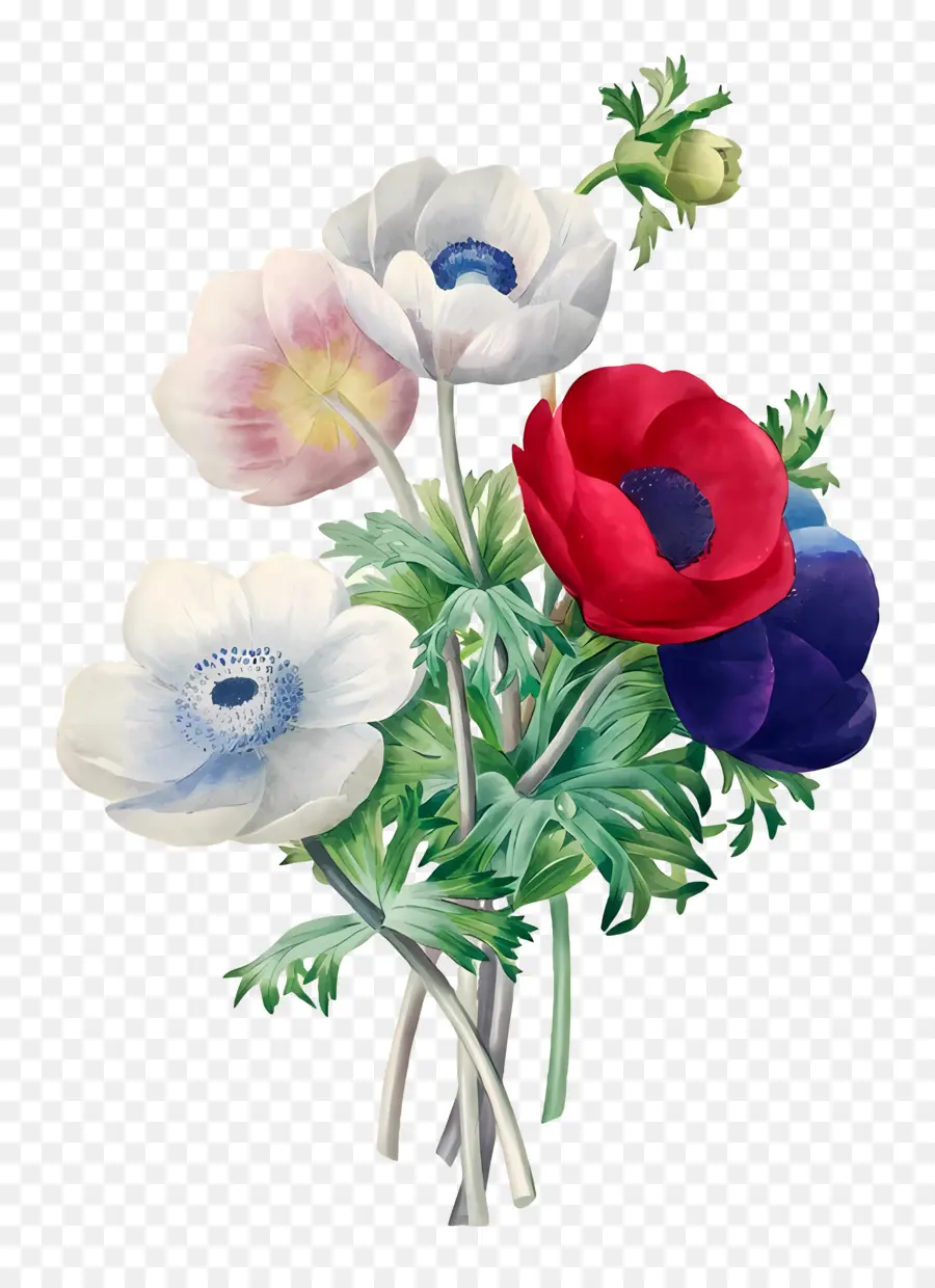 Fleurs Anciennes，Bouquet De Fleurs PNG