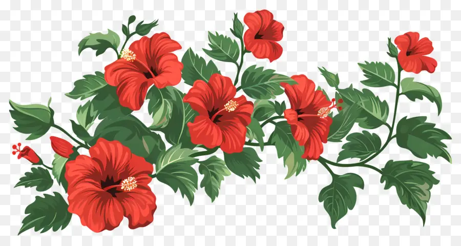 Buisson De Fleurs，Fleurs Rouges PNG