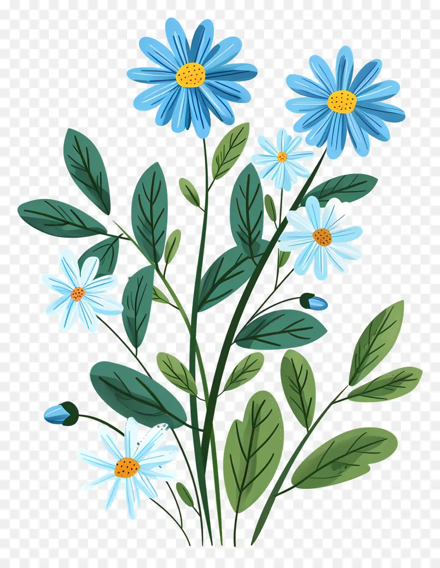 Fleurs De Marguerite，Marguerites Bleues PNG