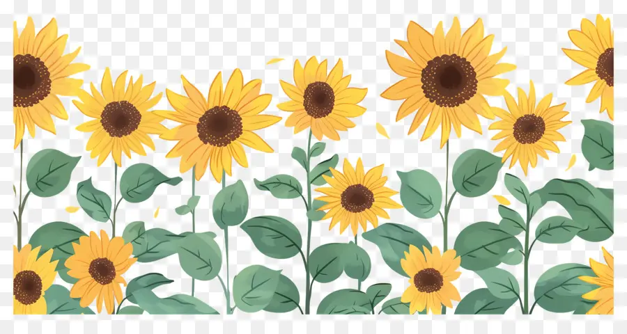 Bordure De Tournesols，Tournesols Et Fleurs Sauvages PNG