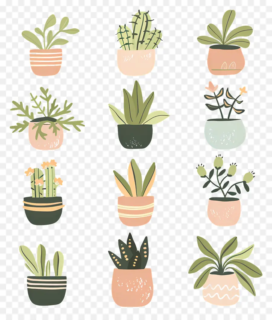 Fleurs En Pots，Plantes En Pot Jaunes PNG