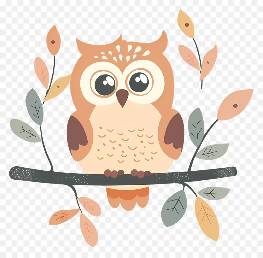 Chouette Mignonne，Hibou PNG