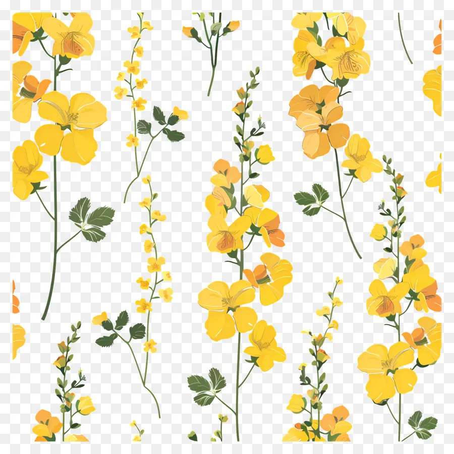 Fleurs De Colza，Fleurs Jaunes PNG