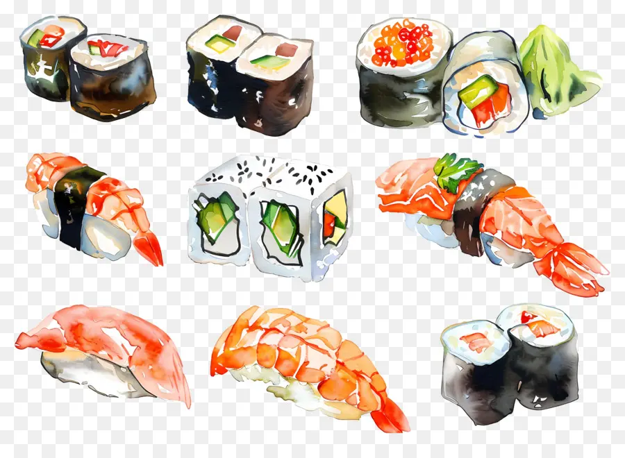 Sushis à L'aquarelle，Sushis PNG