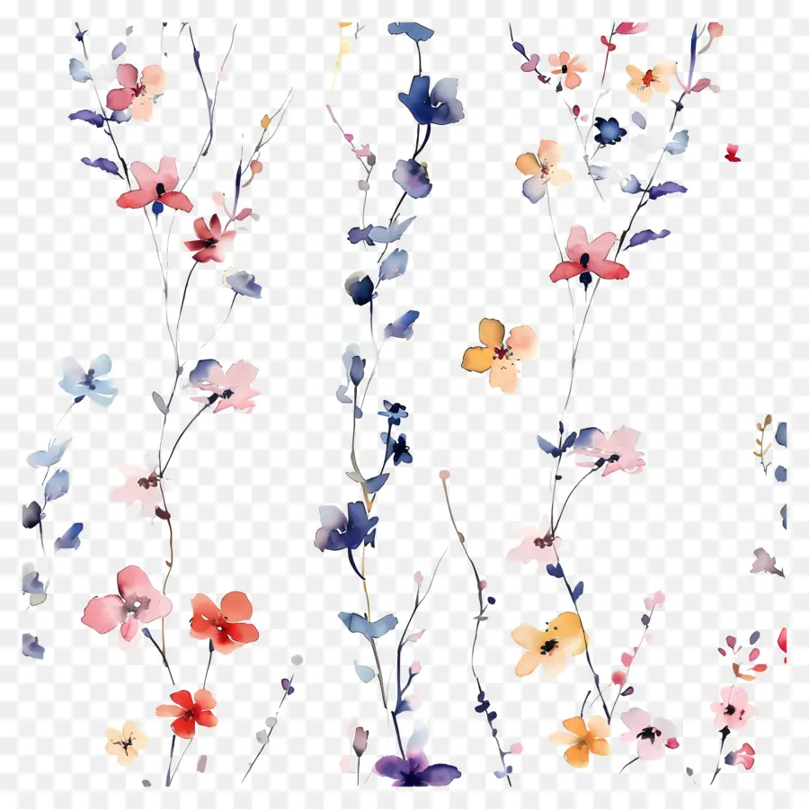 Fond De Fleurs，Fleurs Colorées PNG