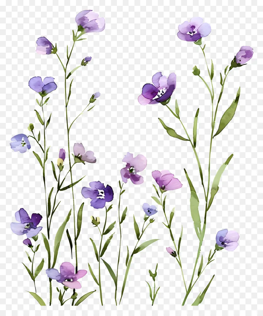 Fond De Fleurs，Fleurs Pastel PNG