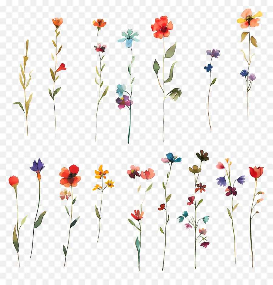 Fond De Fleurs，Fleurs Aquarelles PNG