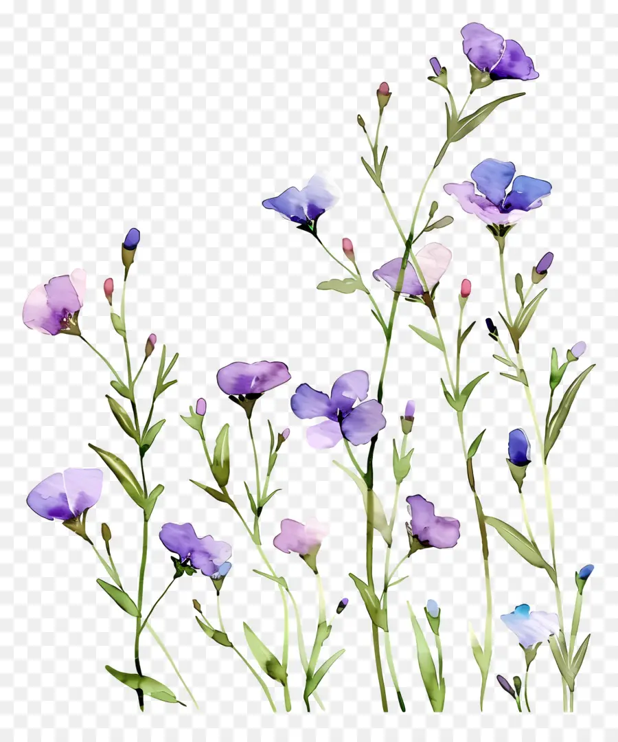 Fond De Fleurs，Fleurs Pastel PNG