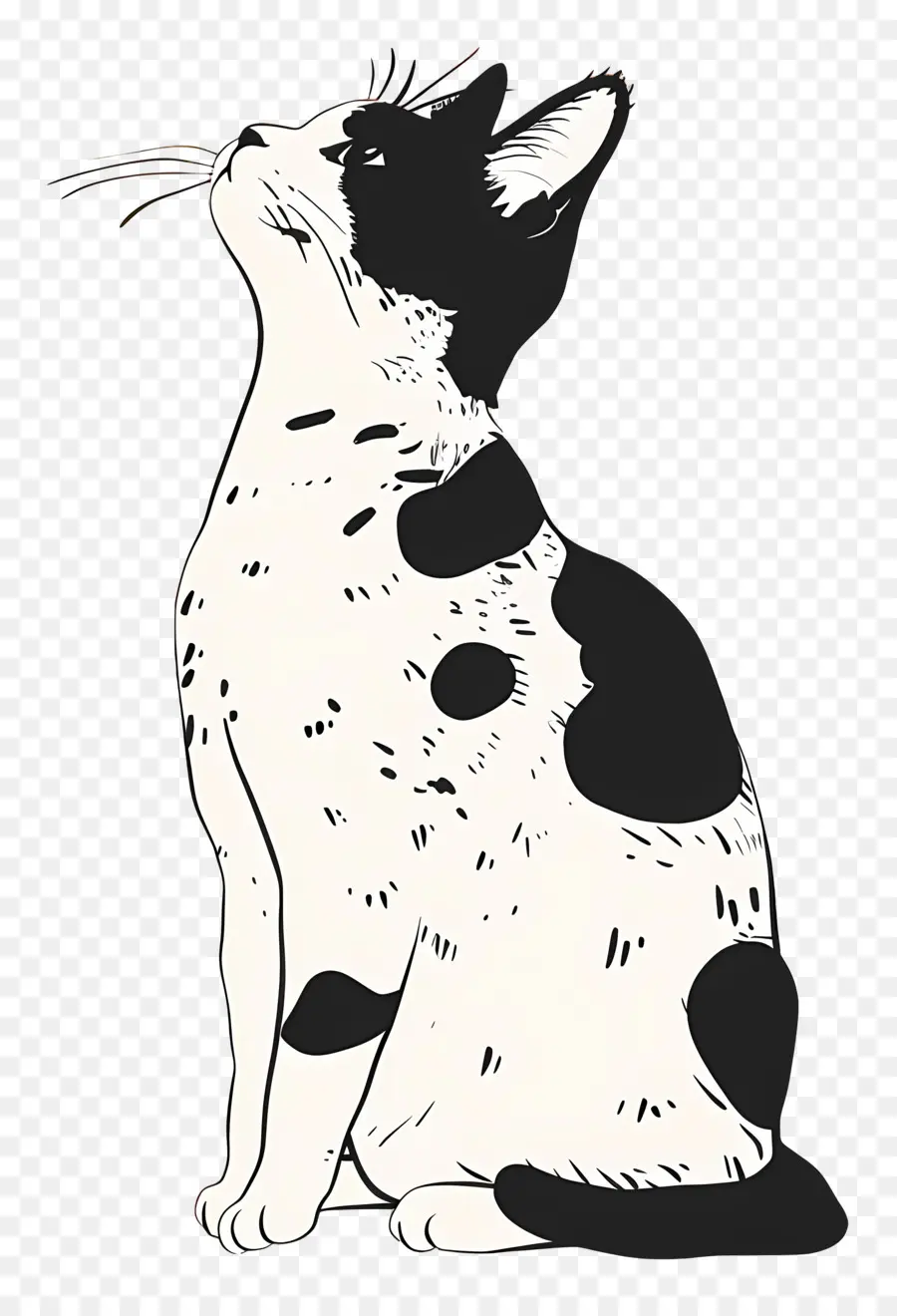 Chat Mignon，Chat Noir Et Blanc PNG