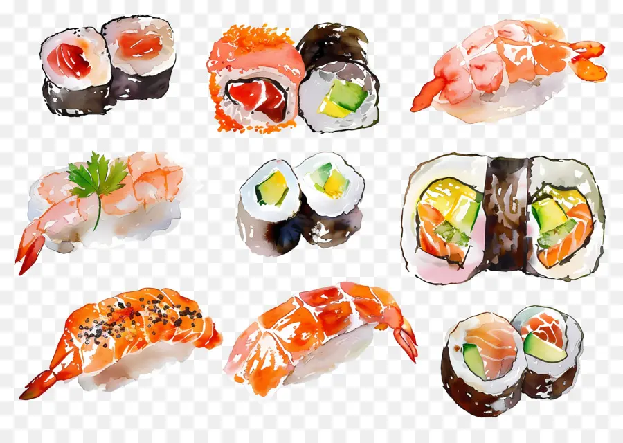 Sushis à L'aquarelle，Sushis PNG