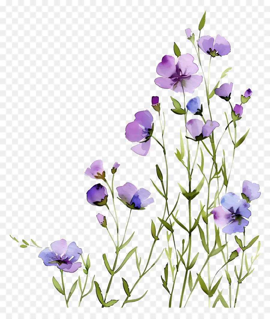 Fond De Fleurs，Fleurs Pastel PNG