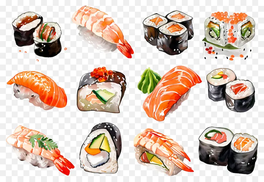 Sushis Aquarelle，Sushis PNG