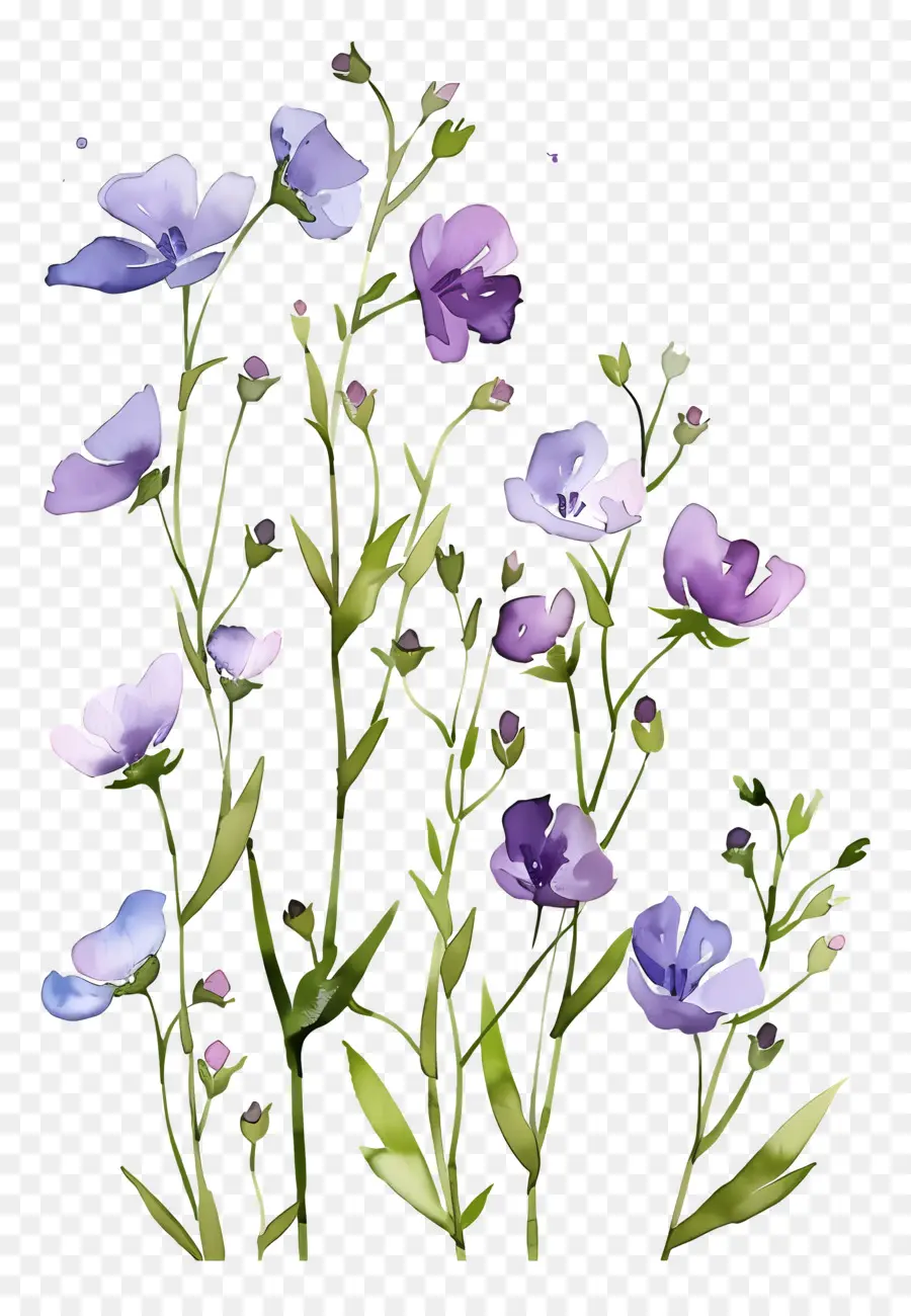 Fond De Fleurs，Fleurs Pastel PNG