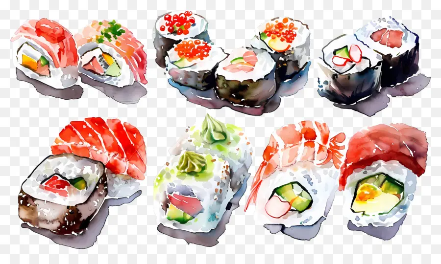 Sushis Aquarelle，Sushis PNG