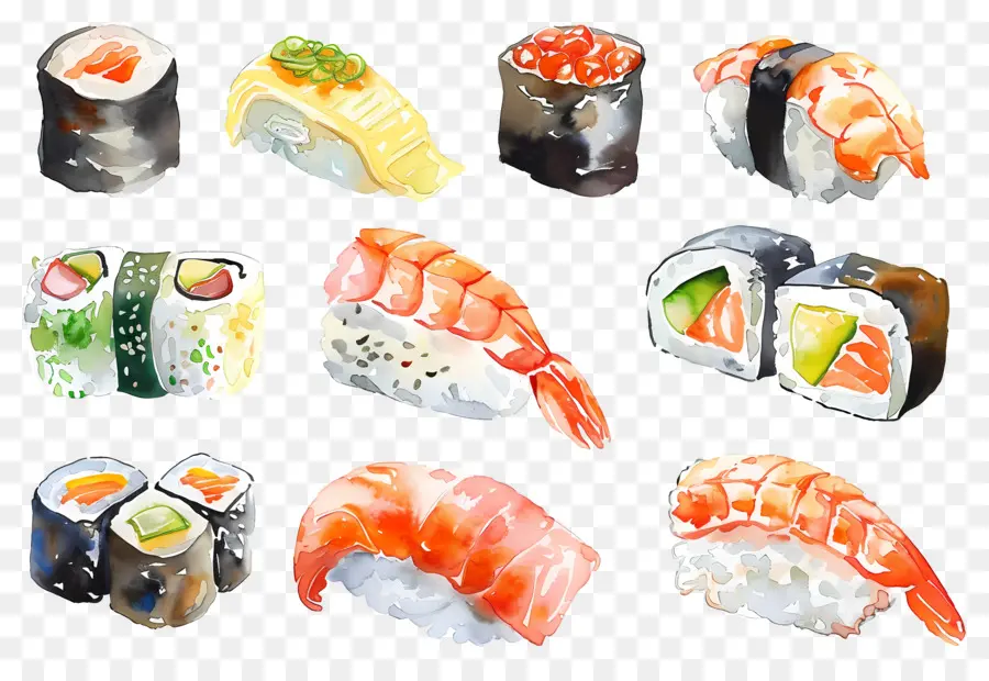 Sushis à L'aquarelle，Sushis PNG