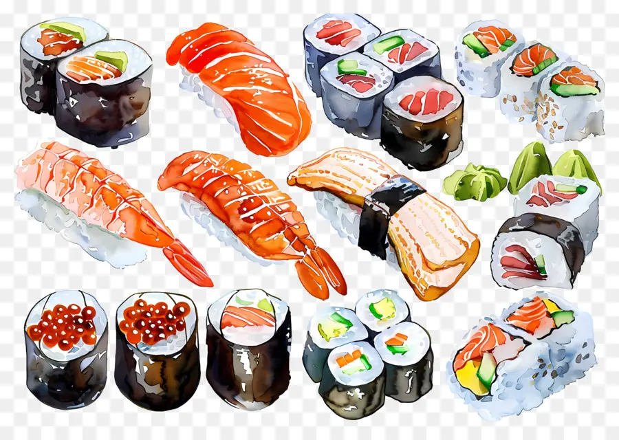 Sushis Aquarelle，Sushis PNG