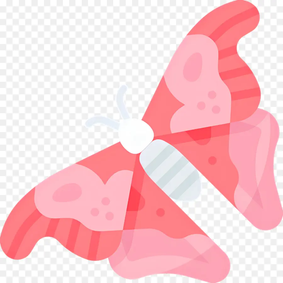 Papillon Volant，Papillon Rose PNG