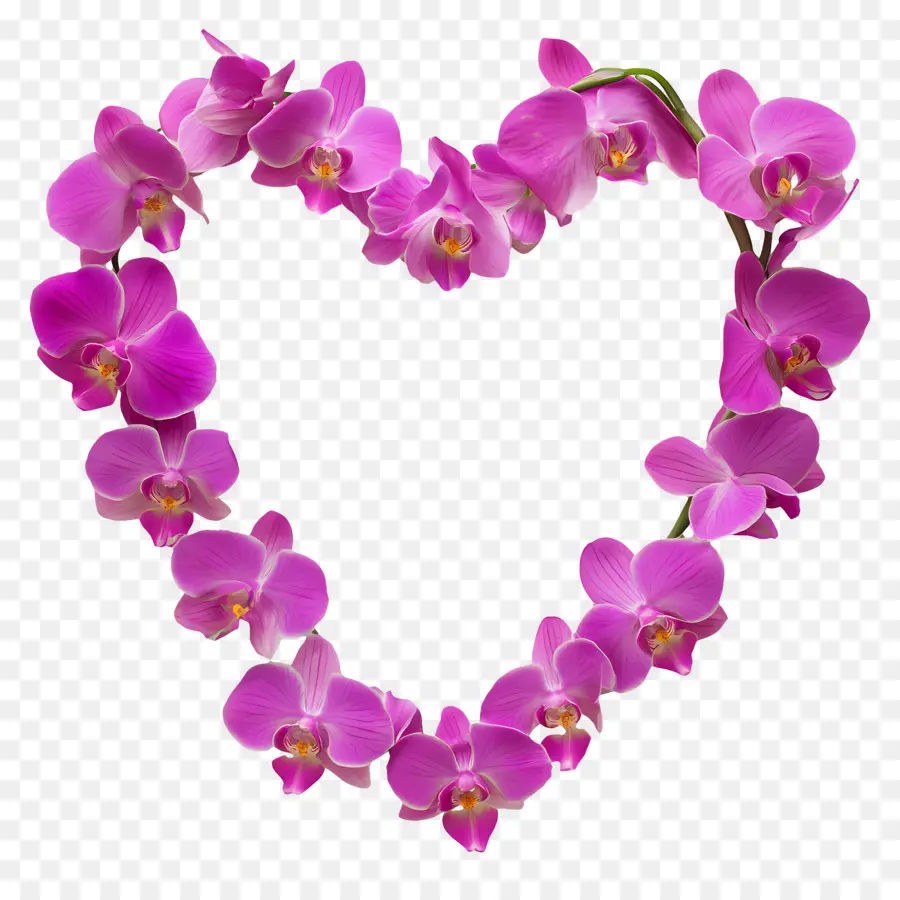 Cadre Coeur，Composition Florale En Forme De Coeur PNG