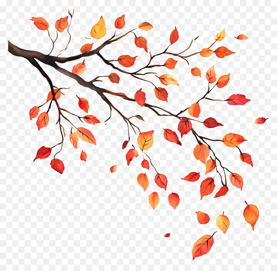 Feuilles Tombées，Feuilles D'automne PNG