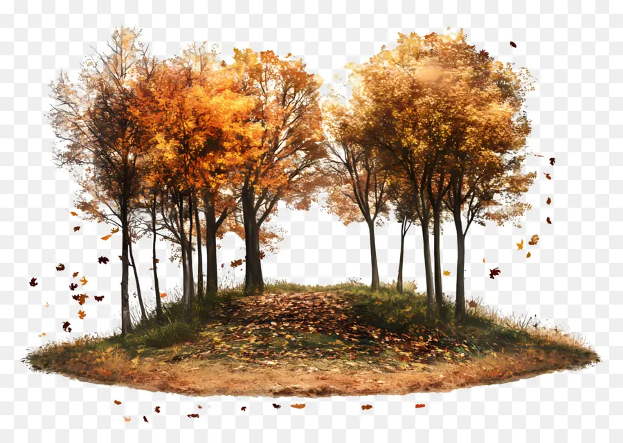 Nature D'automne，Arbres D'automne PNG