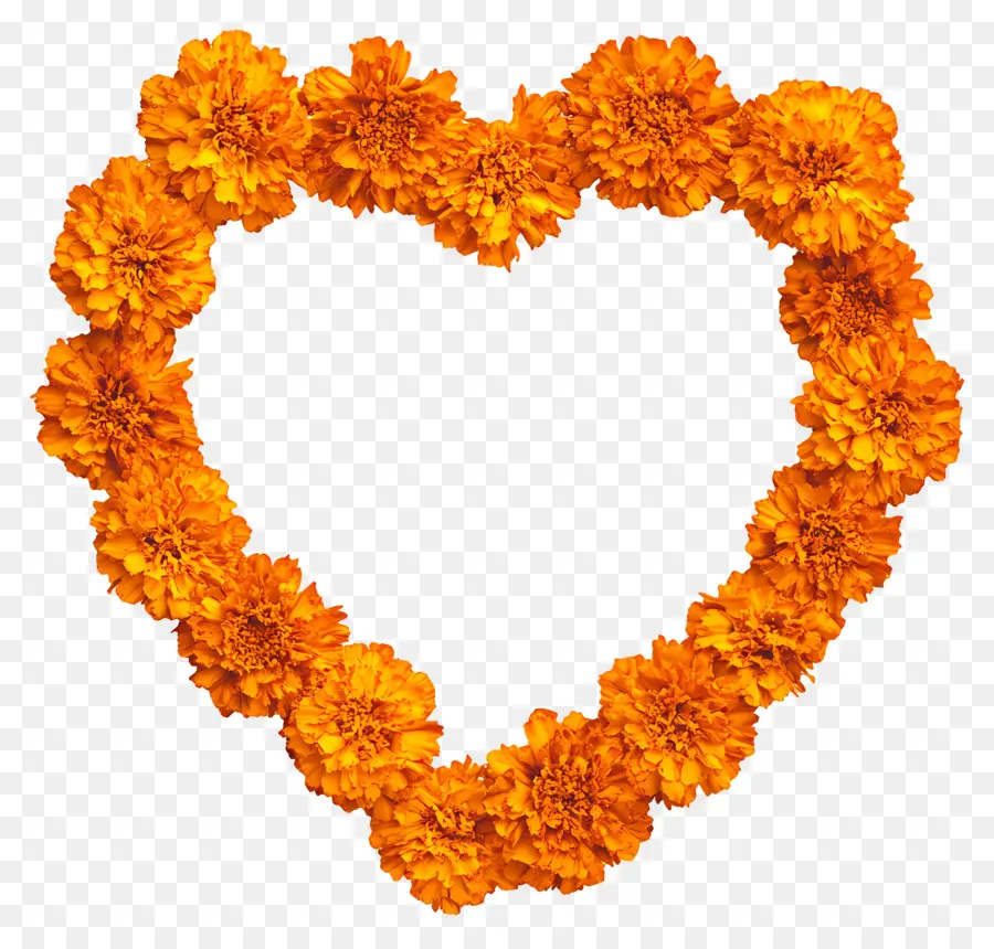 Cadre Coeur，Coeur De Souci Orange PNG