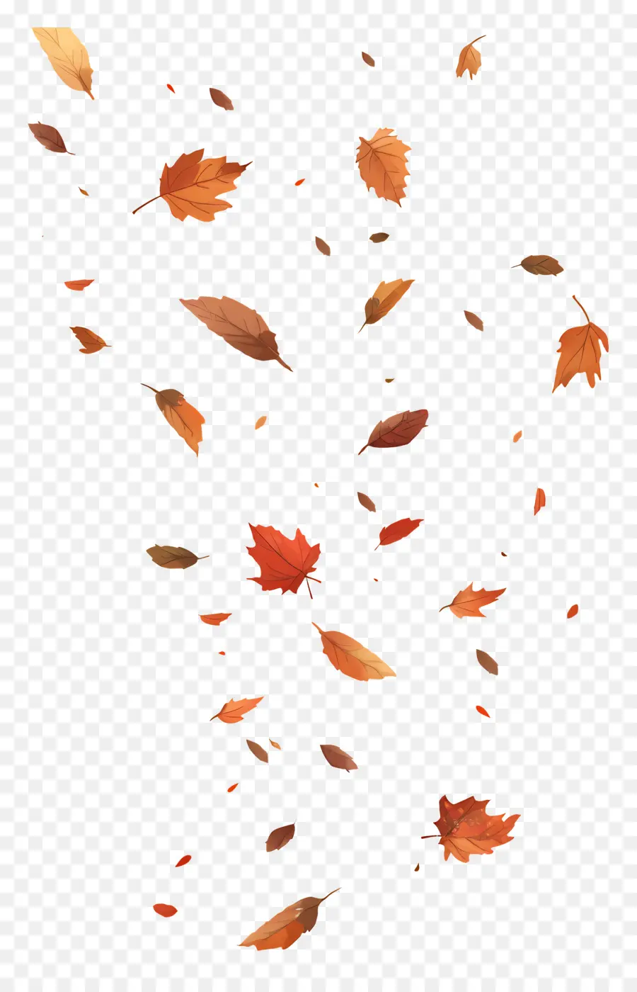 Feuilles Tombées，Feuilles D'automne PNG