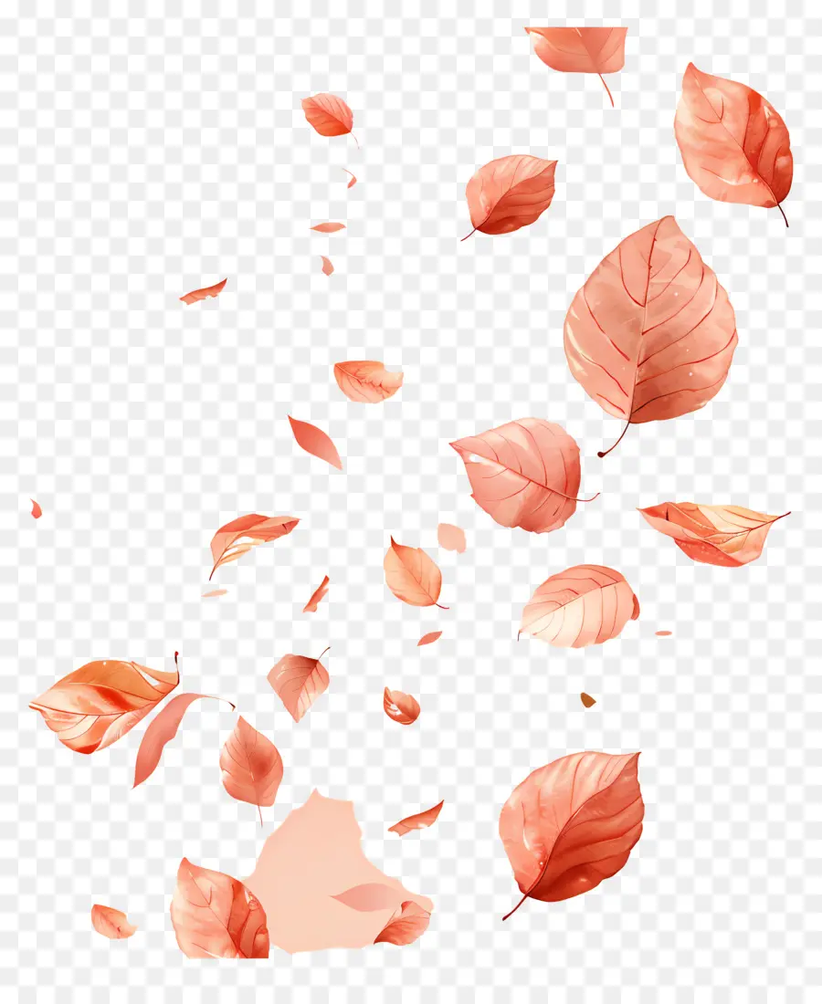 Feuilles Tombées，Feuilles Qui Tombent PNG