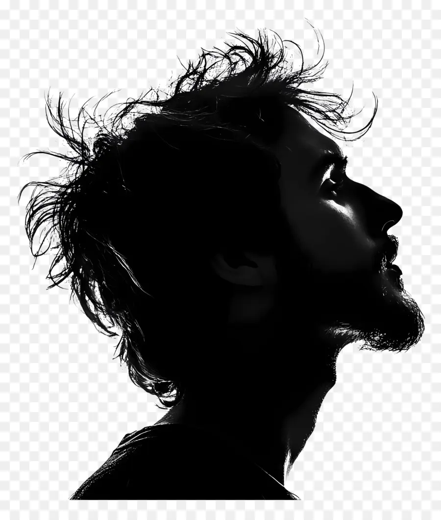 Silhouette De Tête D'homme，Profil De Silhouette PNG