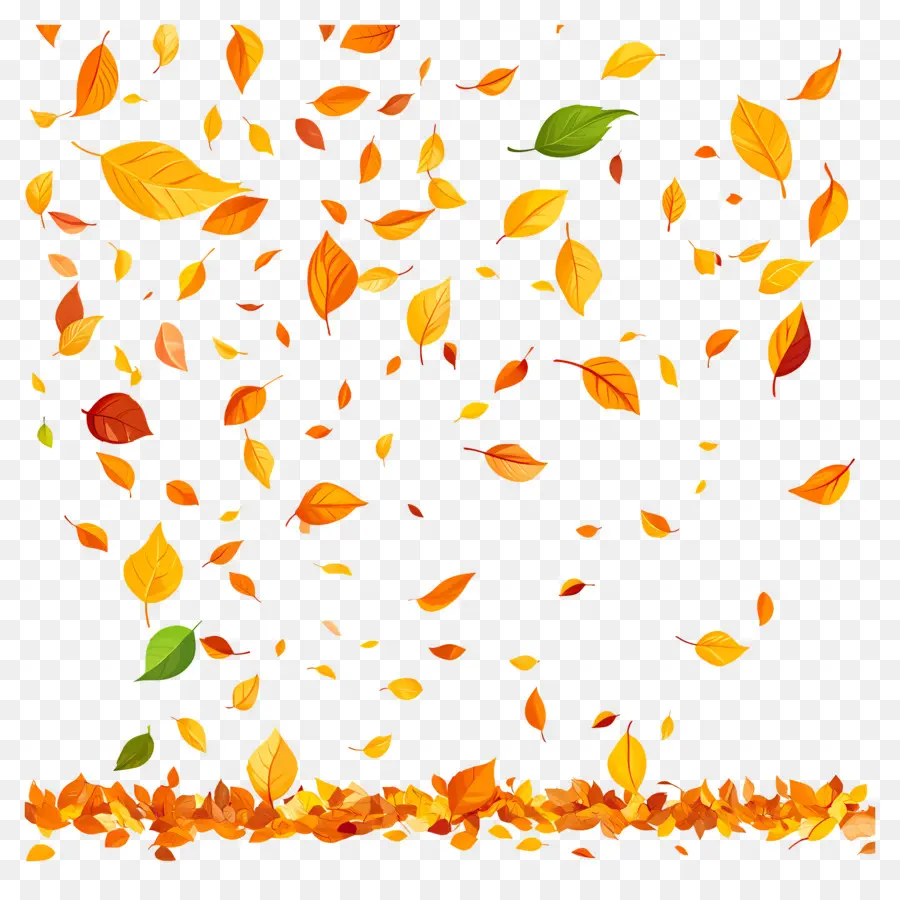 Feuilles Flottantes，Feuilles PNG