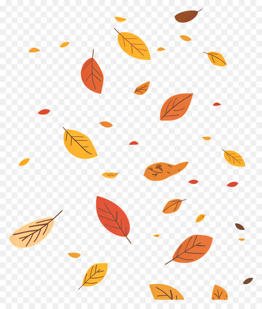 Feuilles Tombées，Feuilles PNG