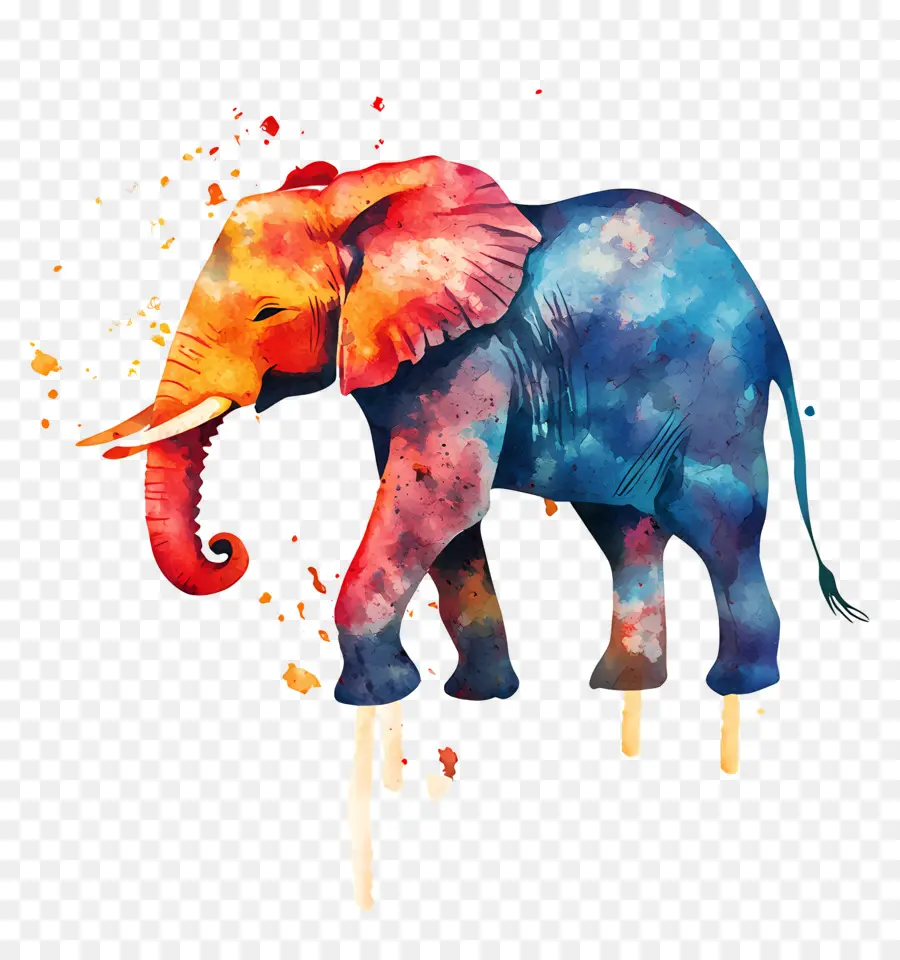 Éléphant Aquarelle，Éléphant Coloré PNG