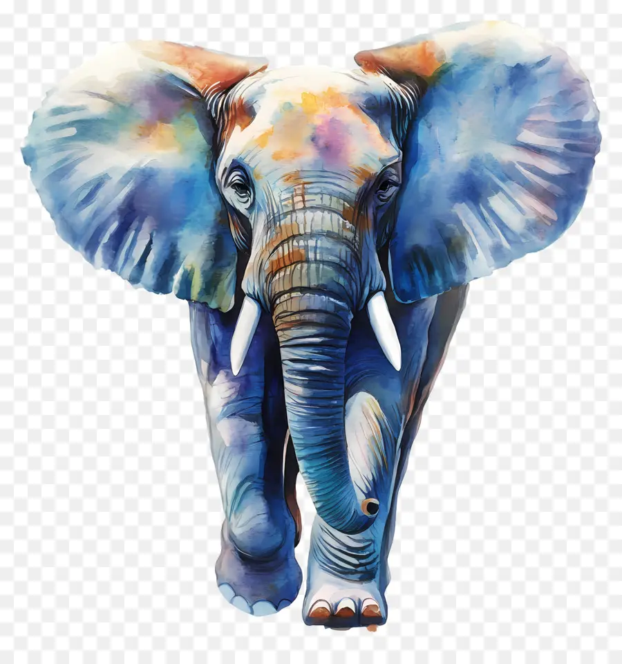 Éléphant Aquarelle，Éléphant Coloré PNG