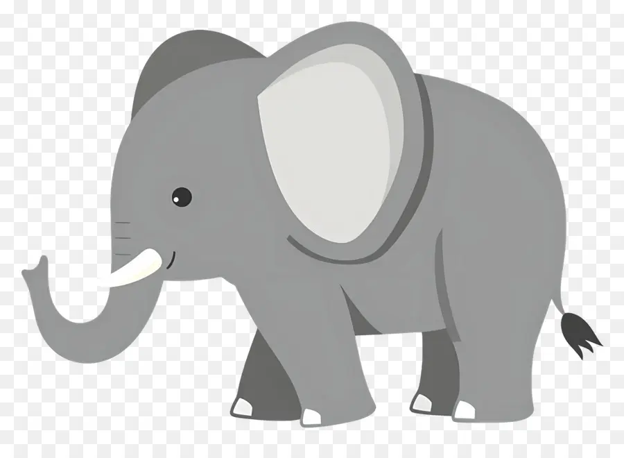 Éléphant Mignon，Éléphant PNG