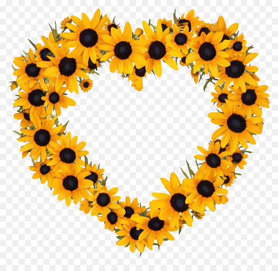 Cadre Coeur，Coeur De Tournesol PNG