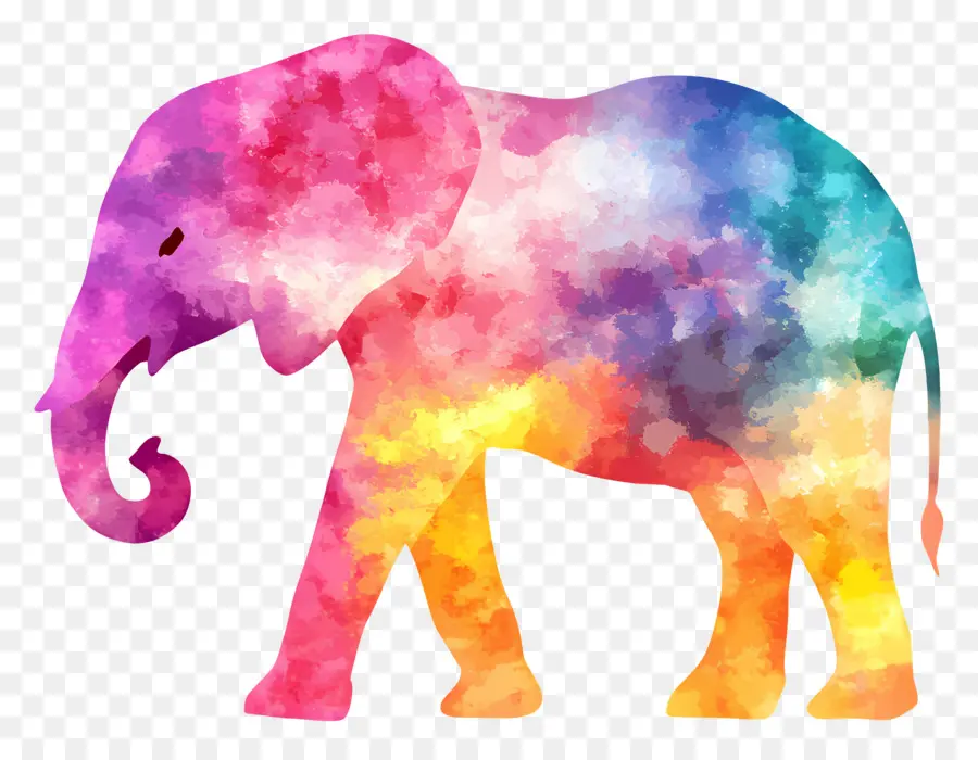 Silhouette D'éléphant，Éléphant Coloré PNG