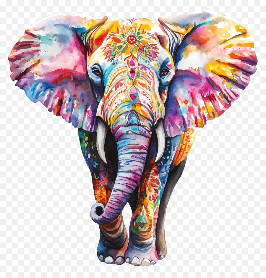 Éléphant Aquarelle，Éléphant Coloré PNG