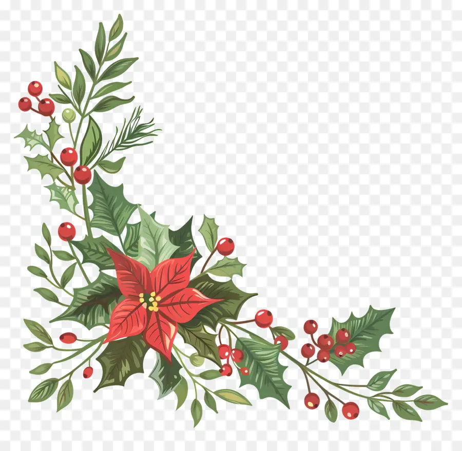 Le Coin De Noël，Poinsettia PNG