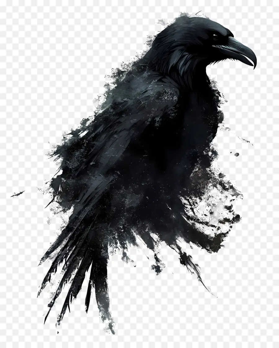 Corbeau Gothique，Corbeau Noir PNG