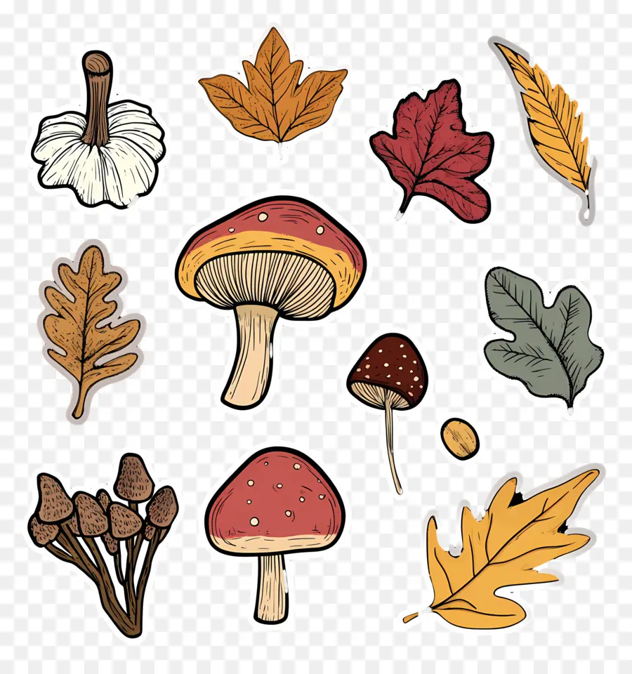 Nature D'automne，Champignons Et Feuilles PNG