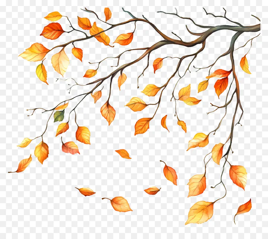 Feuilles Tombées，Feuilles D'automne PNG