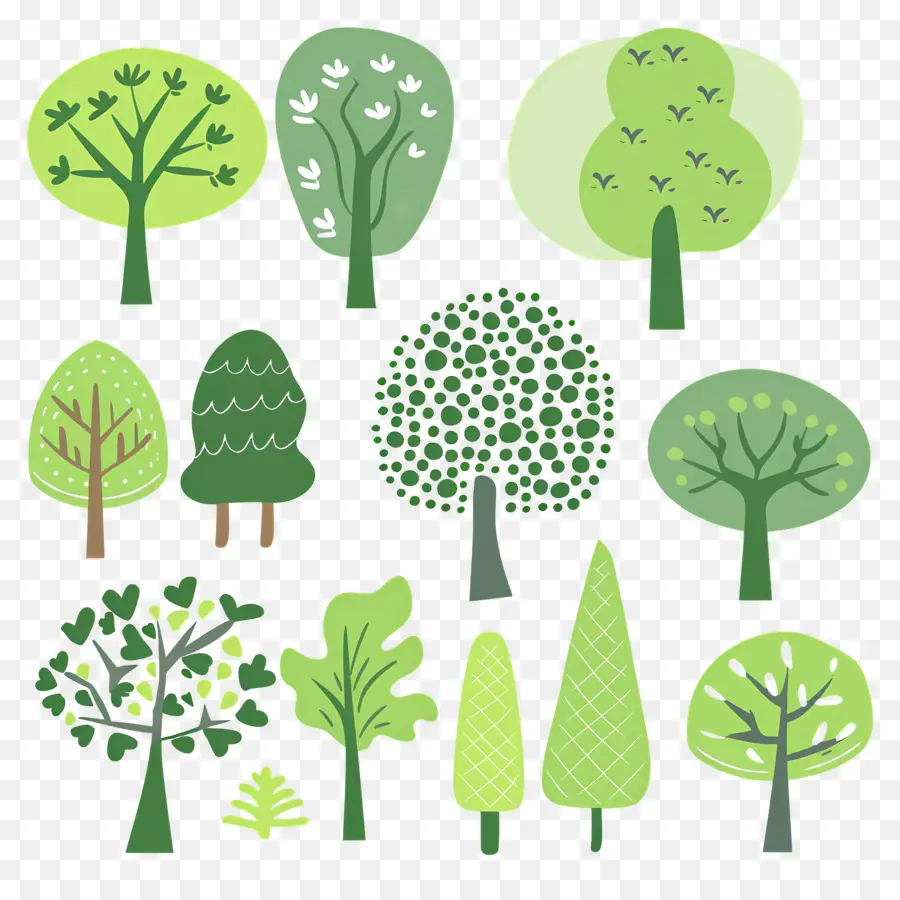 Arbre Minimaliste，Divers Arbres PNG