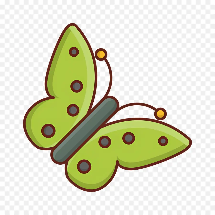 Papillon Volant，Papillon Vert PNG