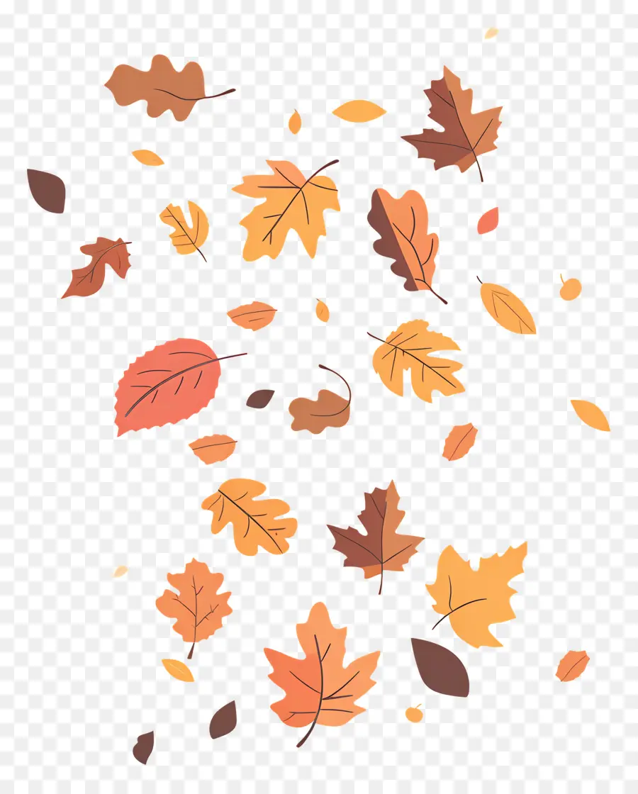 Feuilles Tombées，Feuilles PNG