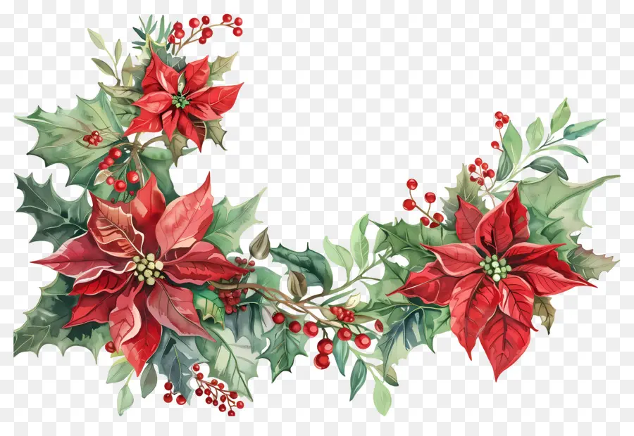 Le Coin De Noël，Poinsettia PNG