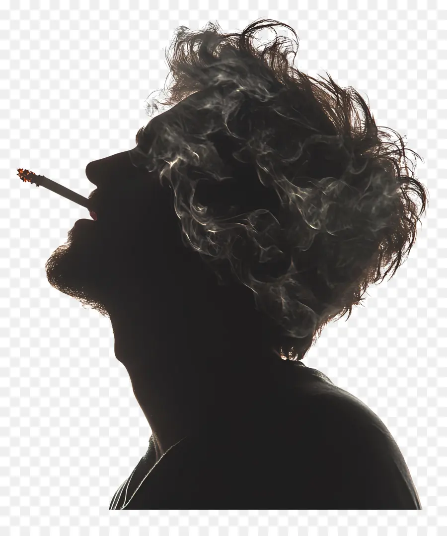 Silhouette De Tête D'homme，Silhouette De Cheveux Bouclés PNG