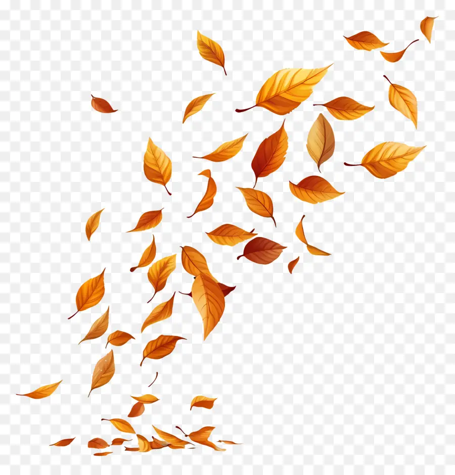 Feuilles Flottantes，Feuilles PNG