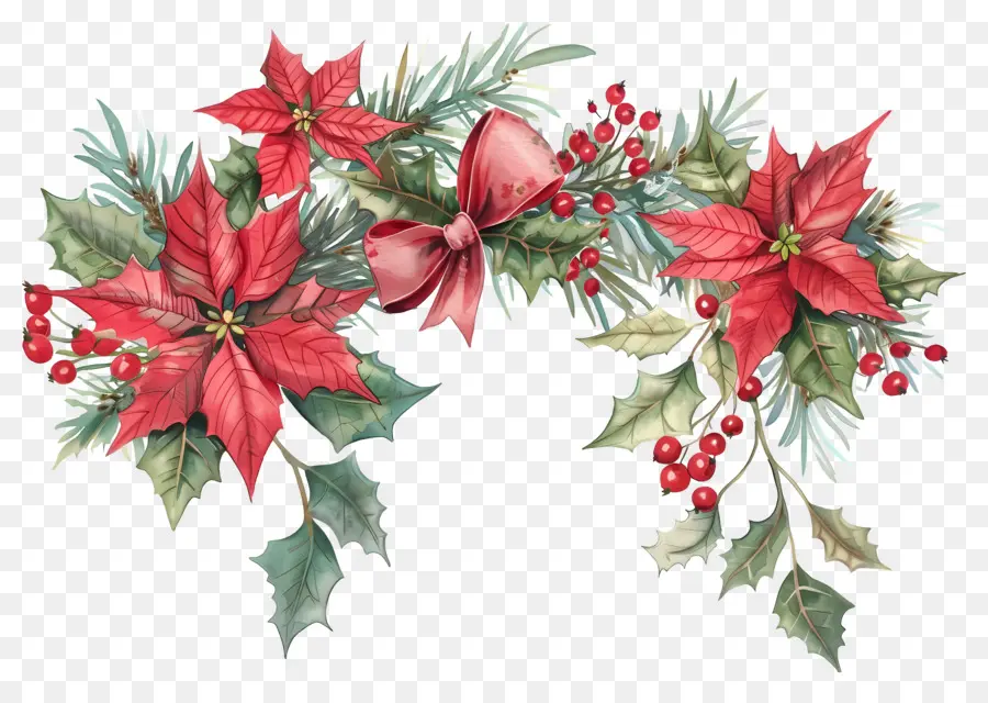 Frontière De Noël，Poinsettia PNG