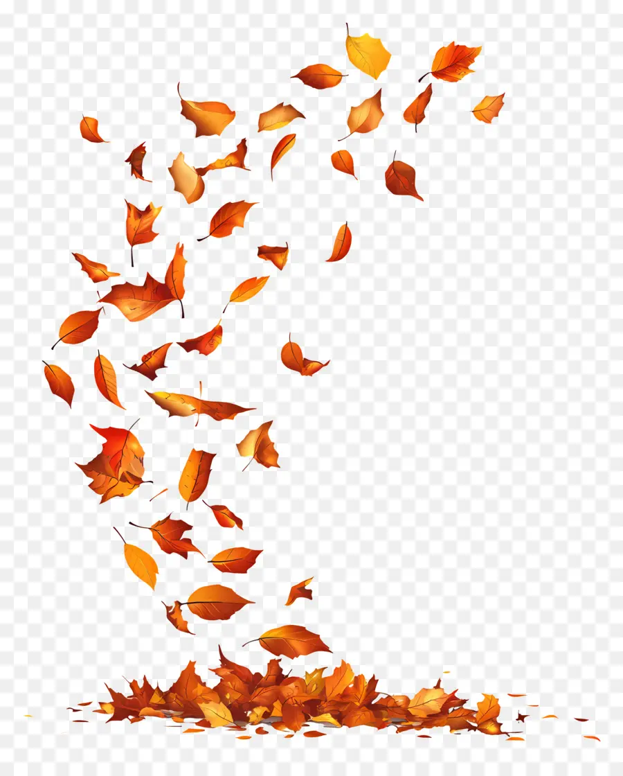 Feuilles Tombées，Feuilles Qui Tombent PNG