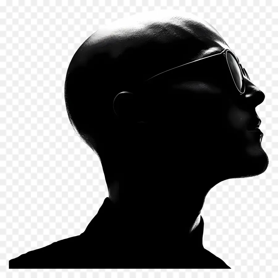 Silhouette De Tête D'homme，Silhouette Avec Des Lunettes PNG